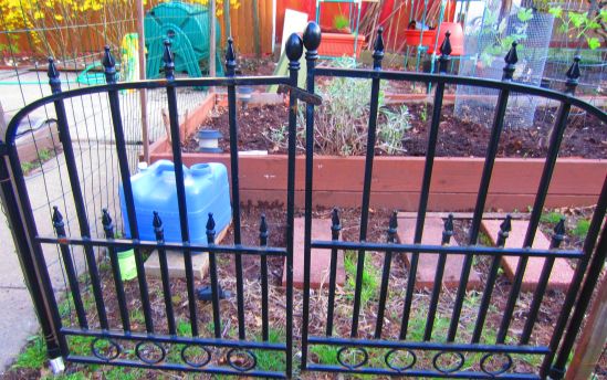 Pete fenced in the garden, then installed crooked gates, which beat all to hell last year's arrangement where my gamey hip and I were intended to climb over some chicken wire because HAHAHAHAHAHA. Now I have gates. They were on sale, for some reason. 